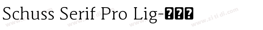Schuss Serif Pro Lig字体转换